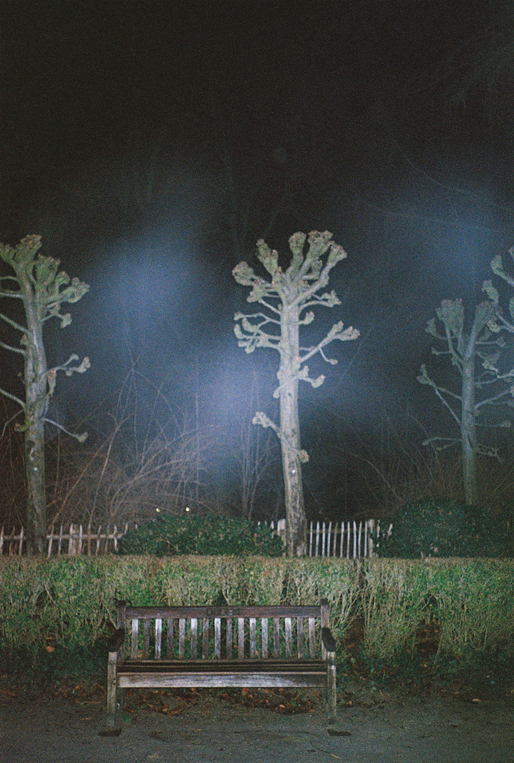 ©Victor Van Wassenhove