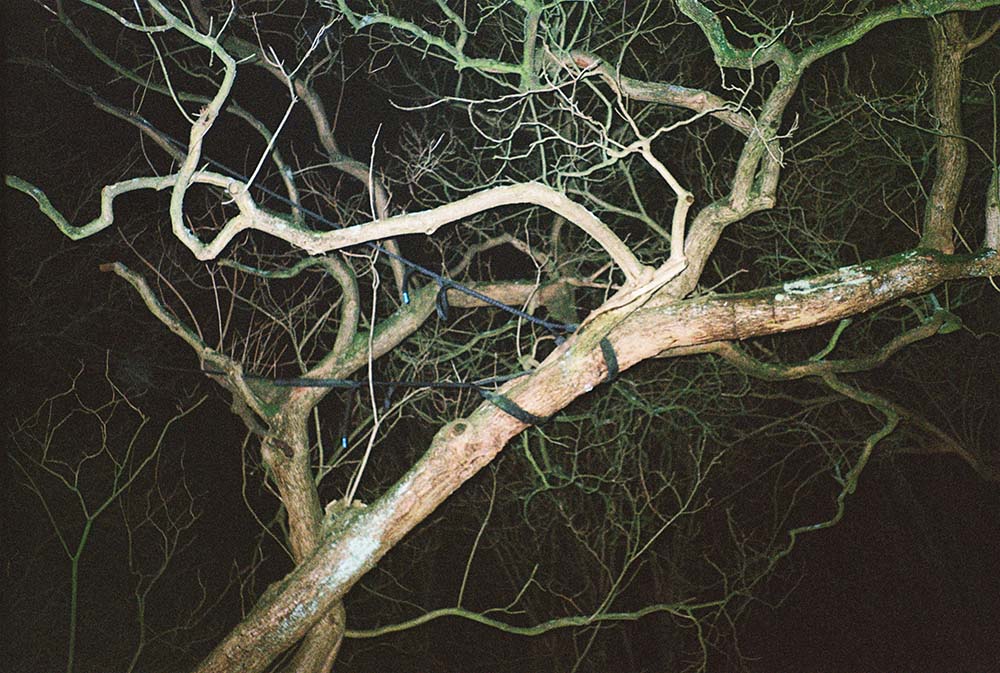 ©Victor Van Wassenhove