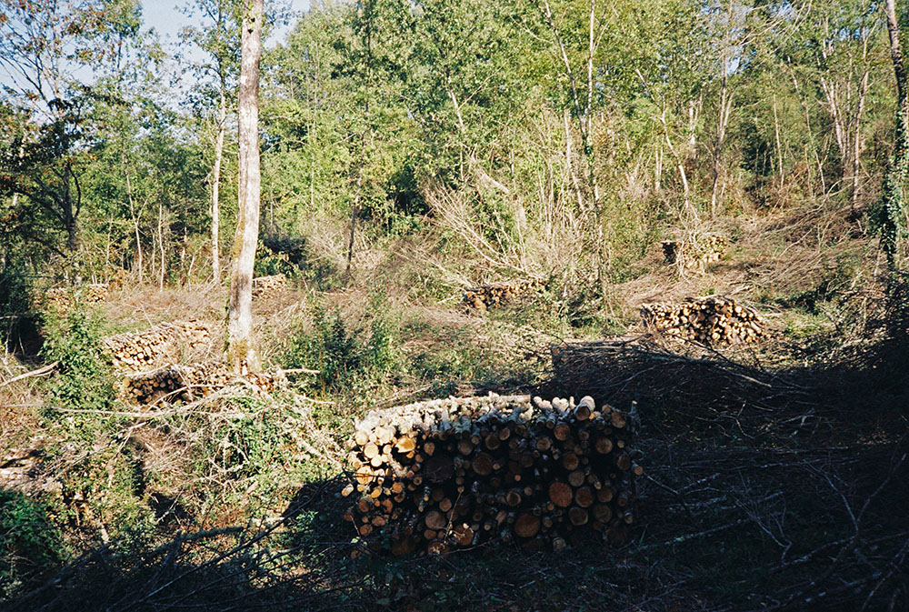 ©Victor Van Wassenhove